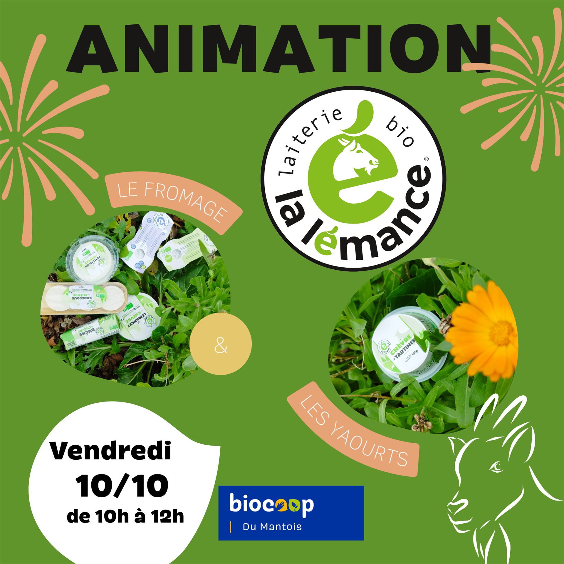 Animation dégustation des fromages La Lémance