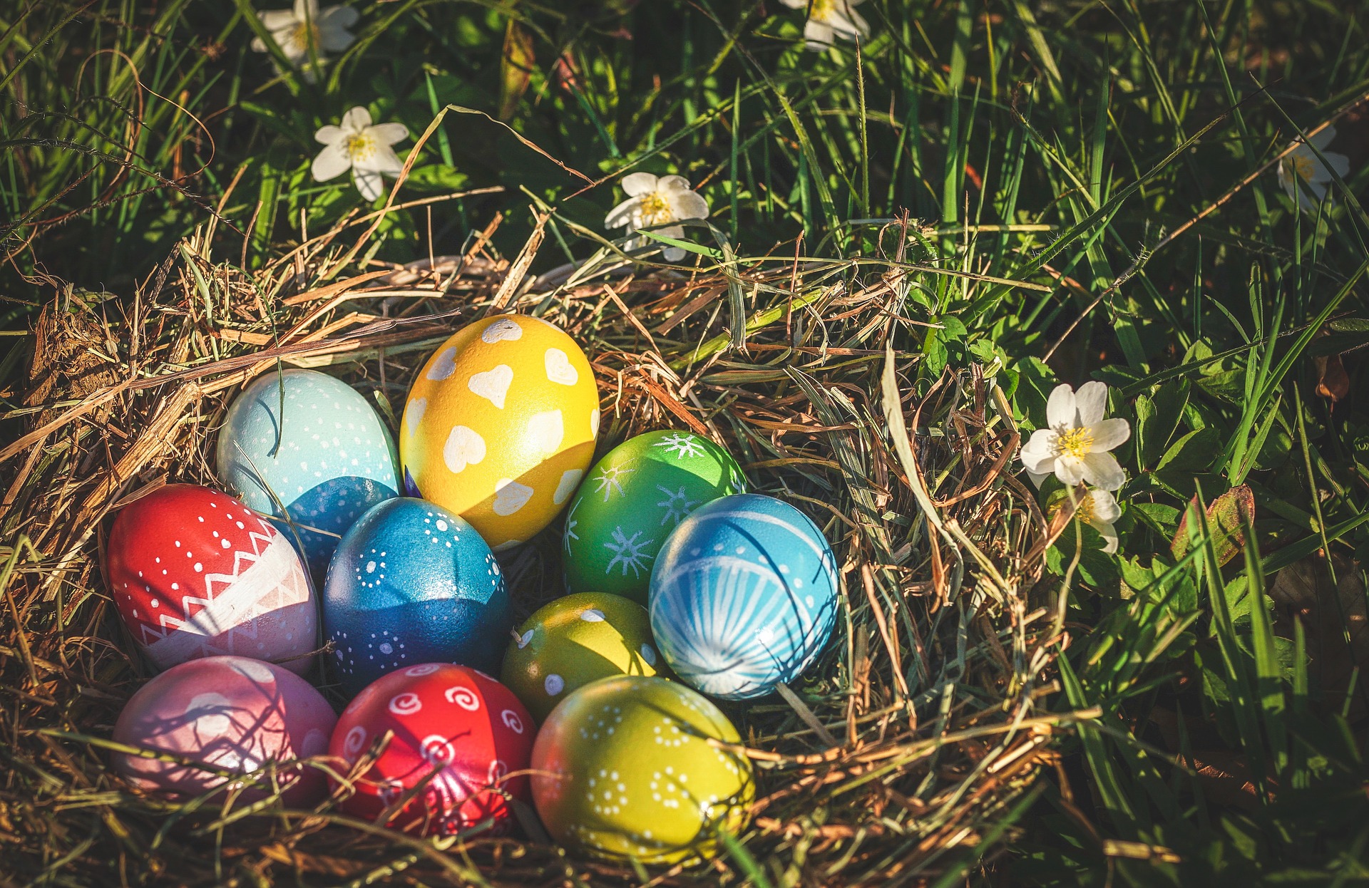 La chasse aux oeufs est ouverte ! La chasse aux oeufs est ouverte !